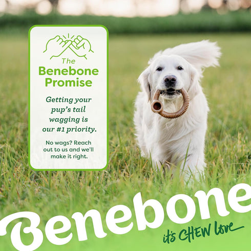 Benebone Medium Ring Durable Dog Chew Toy, Real Bacon, Made in USA