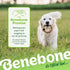 Benebone Medium Ring Durable Dog Chew Toy, Real Bacon, Made in USA