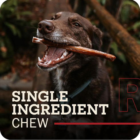 12" 100% 5 Count Packaging Redbarn Pet Products All-Natural Braided Bully Sticks for Dogs - Premium Slow Roasted Long