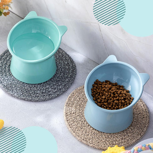 Zhehao 2 Pieces Plastic Raised Bowl Set, Tilted 15 Degrees Elevated Cat Food and Water Bowls for Cats and Small Dogs