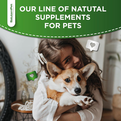 Natural Antibiotics for Dogs, Help with Allergies and UTIs, Herbal Supplement for All Breeds and Ages, 2 oz