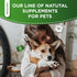 Natural Antibiotics for Dogs, Help with Allergies and UTIs, Herbal Supplement for All Breeds and Ages, 2 oz