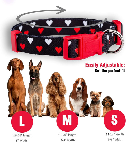 Native Pup Valentine’s Dog Collar, Adjustable for Small, Medium, Large Breeds, White & Red Hearts, Large