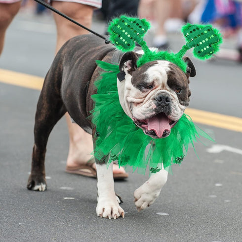 4 Pcs St Patrick's Day Dog Costume - Tutu for Dogs, Sequins Bowtie, Shamrock Headband, Green Puppy Skirt for Irish Party
