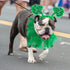 4 Pcs St Patrick's Day Dog Costume - Tutu for Dogs, Sequins Bowtie, Shamrock Headband, Green Puppy Skirt for Irish Party