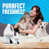 32 oz NonScents Stain & Odor Eliminator Spray for Strong Odor - - Pet Odor Eliminator for Home - Carpet Stain Remover