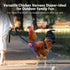 Chicken Harness Hen Size with 5.5-Foot Matching Belt, Comfortable Medium Size for Chicken Duck or Goose