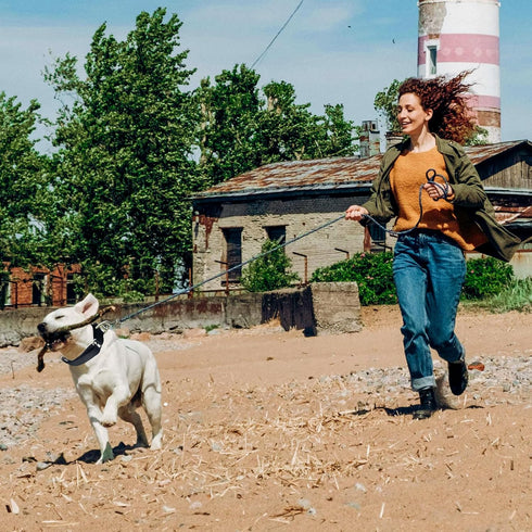 Martingale Dog Collars, Adjustable Nylon with Quick Release Buckle, No Choke Training Collar for Small, Medium, Large
