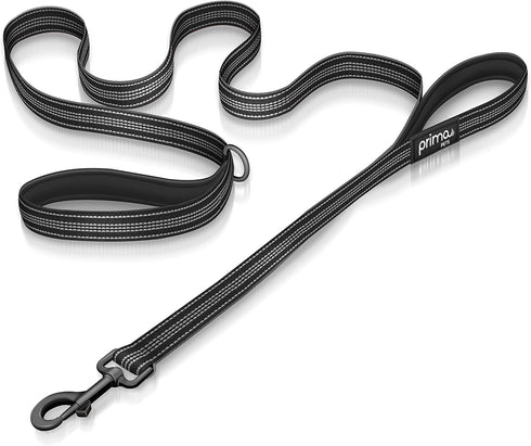 Reflective Nylon Leash for Dogs, 6 Feet Long, 1 Inch Width, Thick Neoprene Dual Handles