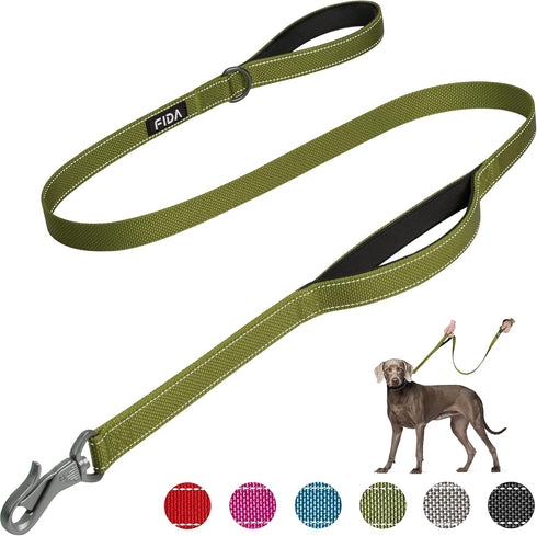 Fida 4 FT Heavy Duty Dog Leash - Green with 2 Padded Handles, Traffic Handle & Easy Snap Hook for All Breeds