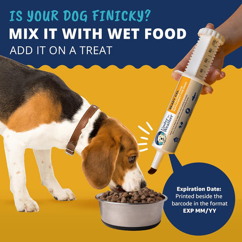 Under the Weather Pet Ready Cal for Dogs, 100cc, High Calorie Supplement, Weight Gainer, 10 Vitamins, 7 Minerals