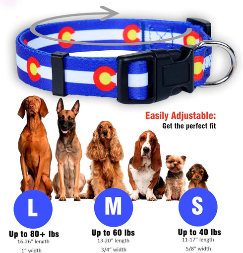 Native Pup Colorado Flag Dog Collar - Colorado Blue, Small