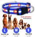 Native Pup Colorado Flag Dog Collar - Colorado Blue, Small