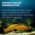 1 lb Fritz Aquatics Premium Aquarium Salt for Fish Health