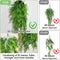 (6 Pack) PINVNBY Reptile Plants Hanging Fake Vines Boston Climbing Terrarium Plant with Suction Cup for Bearded Dragons