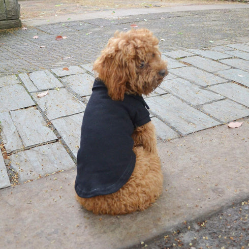 lovelonglong Basic Dog Polo Shirts Premium Cotton, Polo T-Shirts for Large Medium Small Dogs, Black XXL