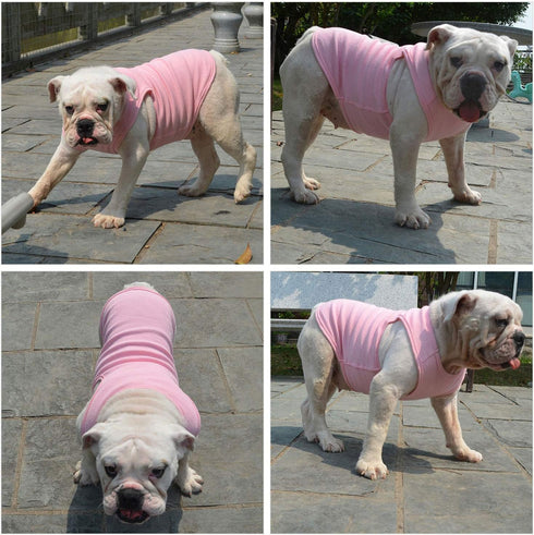 Lovelonglong 2019 Summer Pet Clothing, Dog Clothes Blank T-Shirts, Ribbed Tanks, Thread Vests for Large Medium Small