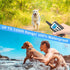 PaiPaitek Bark Collar with Remote, Automatic Training Combo, Beep, Vibration, Shock, Up to 3300ft Range for Dogs