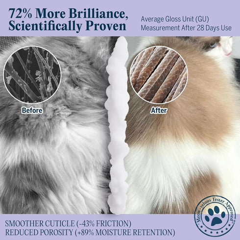 Pretty Kitty Waterless Cat Dry Shampoo with Grooming Glove No Rinse, Lick-Safe, Moisturizing for Dry Skin, Dandruff