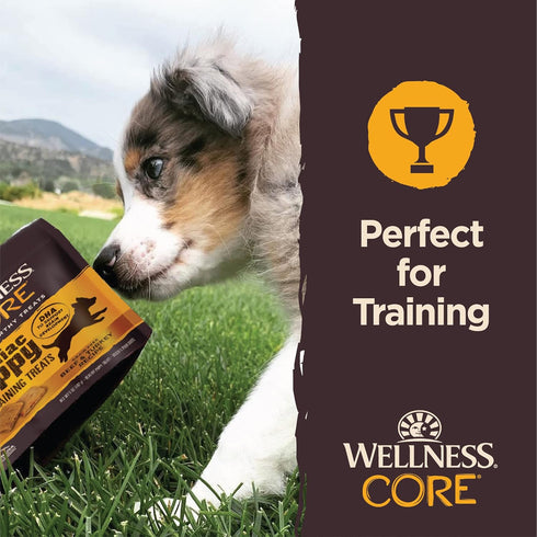 Wellness CORE Brainiac Puppy Soft Training Dog Treats, Grain Free, Beef & Turkey, 5 Ounce Bag