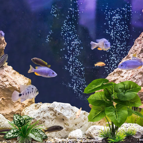 Reptile Artificial Plants, Terrarium Decorations for Aquarium Fish Tank, Amphibian Habitat Accessories, 2pcs