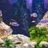 Reptile Artificial Plants, Terrarium Decorations for Aquarium Fish Tank, Amphibian Habitat Accessories, 2pcs