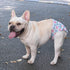 3 Pack WWD02XS CuteBone Washable Dog Diapers Female No Tail Hole Reusable Doggie Period Training Pants for Docked-Tail