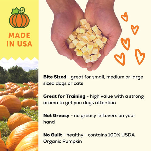 A Better Treat – Freeze Dried Organic Pumpkin Dog and Cat Treats, Healthy Single Ingredient Made in USA