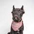 Dog Bandana Hot Pink | 100% Cotton Adjustable Triangle | Made in USA | New Baby Pregnancy Announcement Prop | Gender