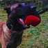 Dingo Gear Dog Tug Ball 6" - Strong Tugger, Bite Training, IGP, K9, Fun (Red S02781)
