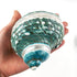 Heyiwell Natural Large Jade Banded Turbo Seashells&Hermit Crab Shells 3.5"~4.5" Inch