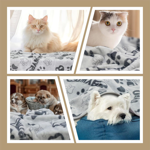 Dog Blanket, Premium Soft Washable Dog Blanket, 41x31inch Puppy Essentials, Cat Blankets Throw for Medium Small Dogs,