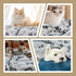 Dog Blanket, Premium Soft Washable Dog Blanket, 41x31inch Puppy Essentials, Cat Blankets Throw for Medium Small Dogs,