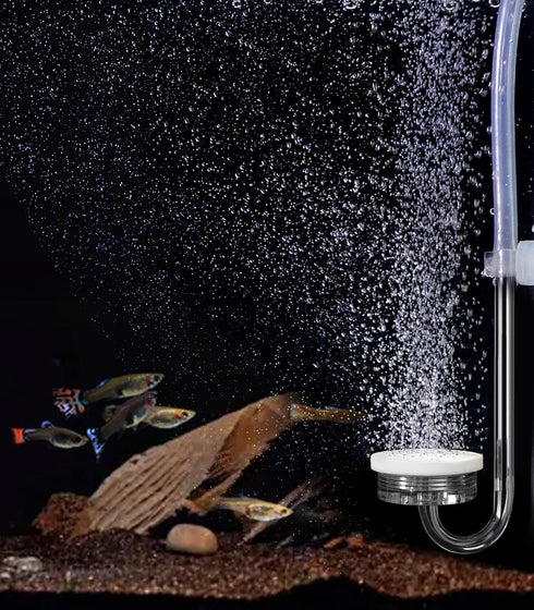 Small Air Pump for Fish Tank Aquarium Aerator, Super Quiet 1.5 Watts, Complete Kit for 1-15 Gallon Tanks