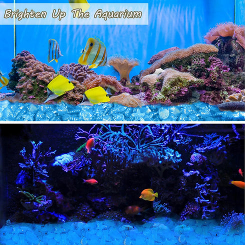 300pc Fish Tank Glow Rocks, Glow in The Dark Pebbles for Aquarium, Garden, Ponds Decor, Blue