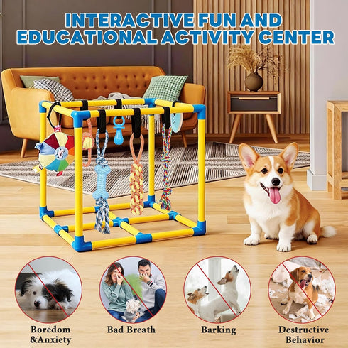 10 WLLEYAY Puppy Play Gym for Small Dogs with Hanging Toys, Removable Indoor Jungle Gym, PVC Frame with Adjustable