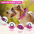 Martingale Dog Collars, Adjustable Reflective Nylon No Pull Choker Collar for Training Medium Large Dogs (M, Hot Pink)