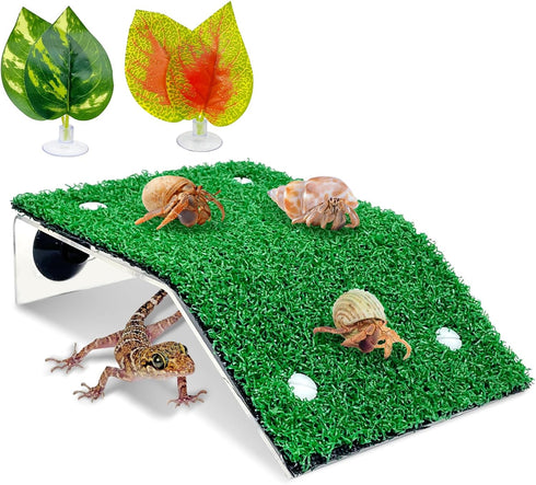 kathson Hermit Crab Climbing RampToy & Decorations - Gecko Tank Accessories -