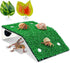 kathson Hermit Crab Climbing RampToy & Decorations - Gecko Tank Accessories -