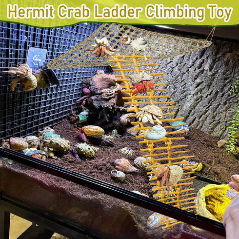 Delllala Hammock Hermit Crab Ladder Climbing Toy|Hermit Crab Decoration Tank AccessoriesReptile Habitat Decor