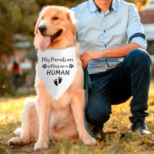 My Parents are Getting Me a Human Pregnancy Announcement Dog Bandana Dog Baby Announcement Gender Reveal Announcement