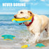 Dog Toy Floating Luminous - Squeaky Glow in The Dark Toy for Large Dogs (Kit Large Shark + Large Starfish).
