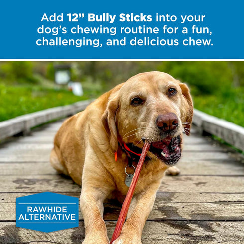 Best Bully Sticks for Dogs 12 Inch, 8oz - 100% Natural Grass-Fed Beef Chews for Medium/Large Dogs
