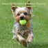 20 Pack 2.5 inch 2.5inch) Magicorange Dog Tennis Balls, Floatable Squeaky Tennis Balls for Fetch Exercise, Natural