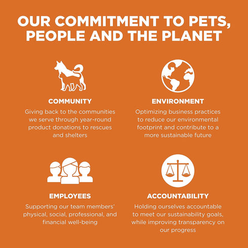 GO! SOLUTIONS Skin + Coat Care - Grain Free Dry Cat Food, 3 lb - Salmon Recipe, Cat Food for All Life Stages