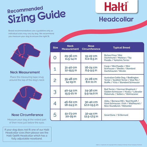 HALTI Headcollar for Large Dogs - Adjustable, Reflective, Lightweight with Padded Nose Band to Stop Pulling on Leash