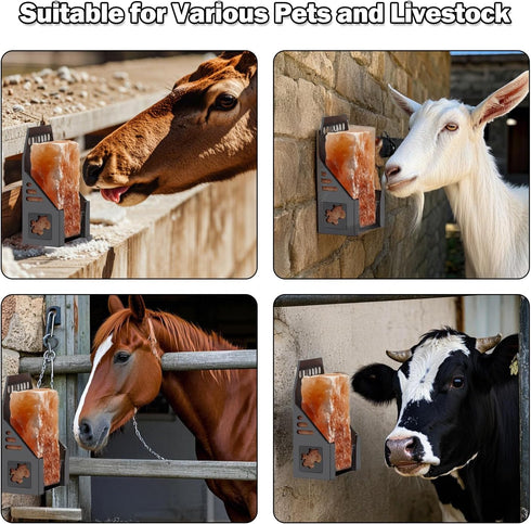 5 Horses2 Plastic Salt Block Holder, Rust-Resistant Design with Horse Cutout, Includes Fixing Screws, Drainage Holes