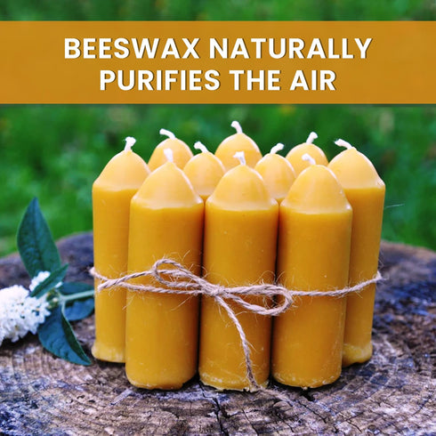 (3.5" 1.25") 12 BeeTheLight Beeswax Lantern Candles x - Smokeless Unscented Candle - Hours Burn Time Each - Natural