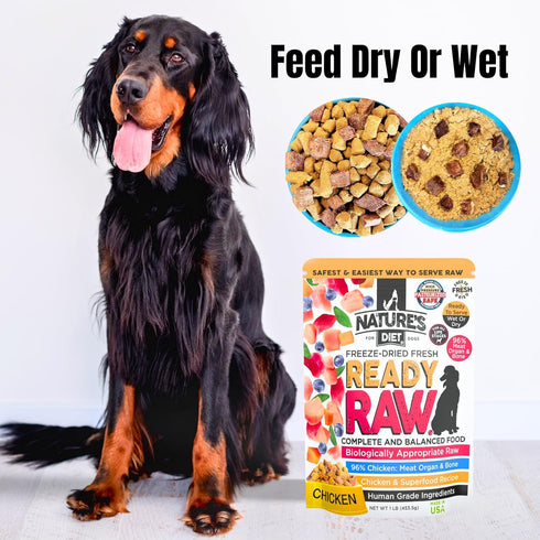 96% Nature's Diet Ready Raw : Freeze-Dried Raw Dog Food, Chicken, Human Grade, High Pressure Pasteurized (HPP), Meat