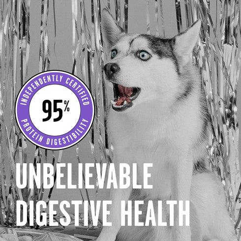 BIXBI Rawbble Freeze Dried Dog Food, Lamb Recipe, 4.5 oz - 97% Meat and Organs, No Fillers, USA Made in Small Batches